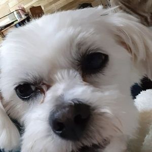 Meet your Posher, Jerri